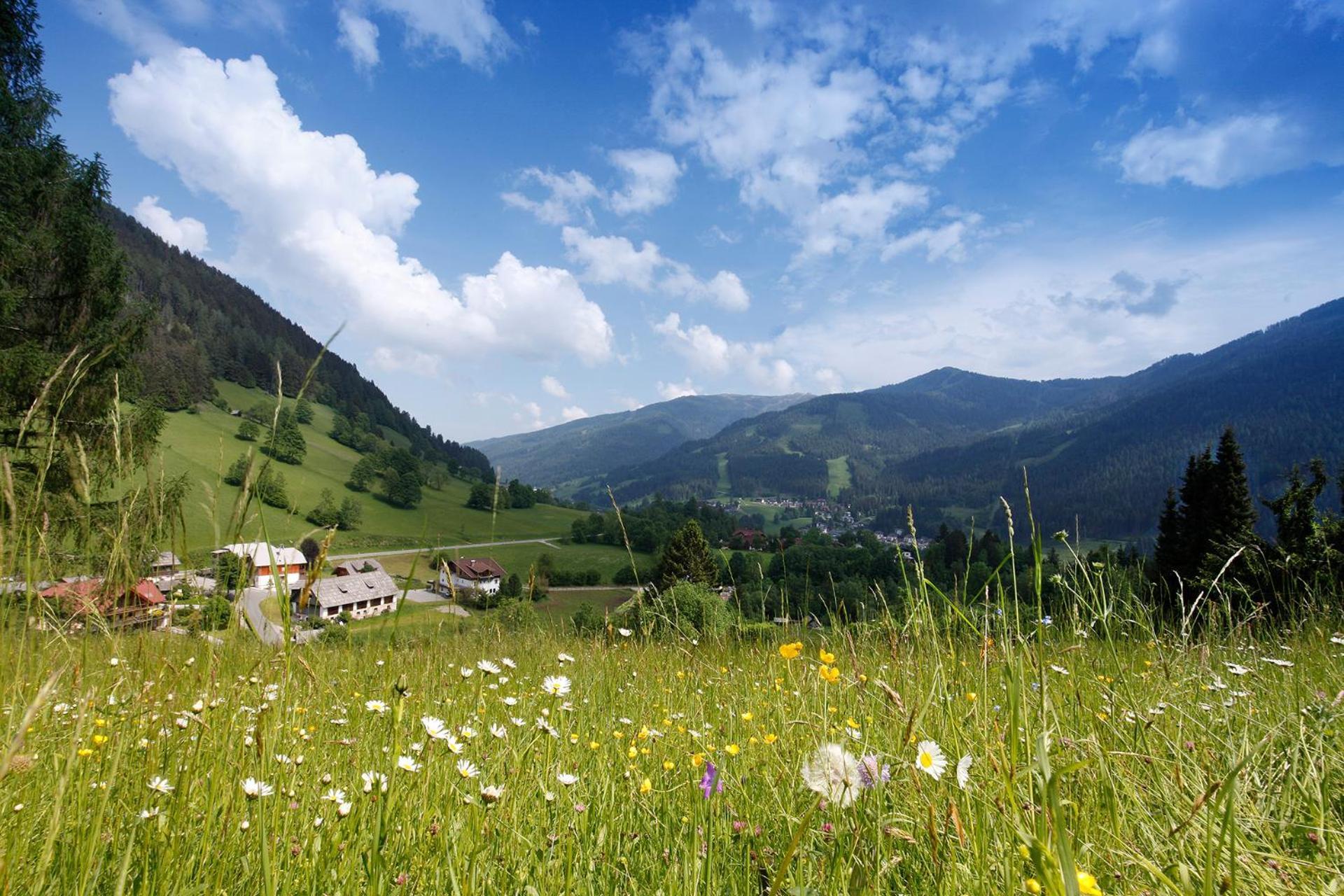 Pension & Appartements Ronacherhof บาด ไคลน์เคิร์ชไฮม์ ภายนอก รูปภาพ